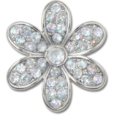 Silver Mnchrm Daisy 1
