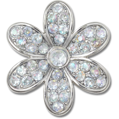 Silver Mnchrm Daisy 1