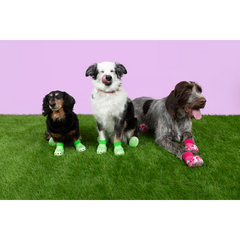 Pet Crocs Boots