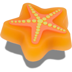 Lights Up Starfish