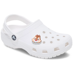 Disney Chip N Dale Smile