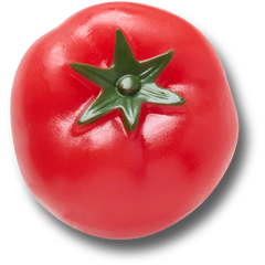 Realistic Tomato