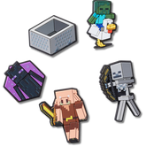 Minecraft 5 Pack