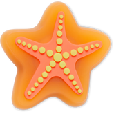 Lights Up Starfish