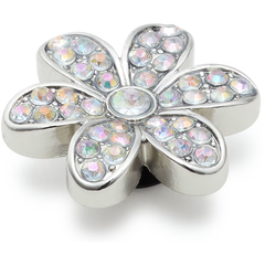 Silver Mnchrm Daisy 1