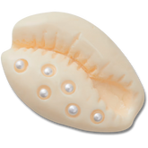 Pearl Puka Shell