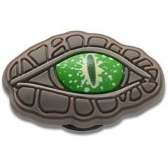 Crocodile Eye