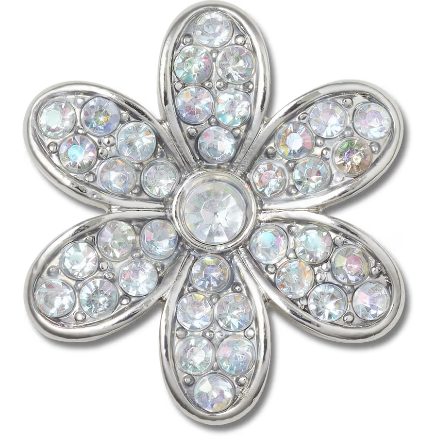 Silver Mnchrm Daisy 1