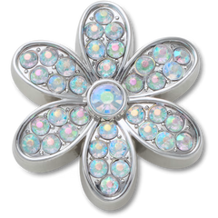 Silver Mnchrm Daisy 1