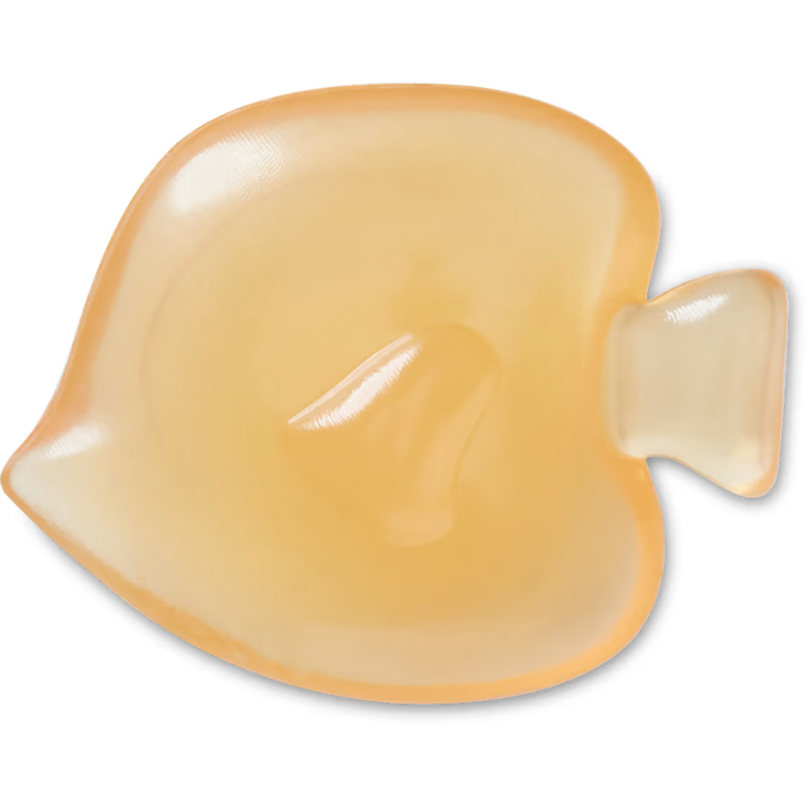 Orange Fishie