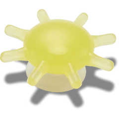 Little Yellow Sunshine