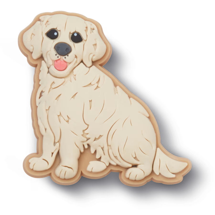 Golden Retriever Puppy