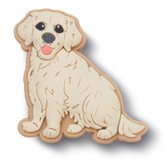 Golden Retriever Puppy