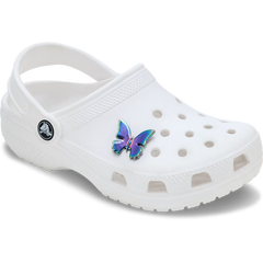 Iridescent Butterfly