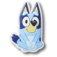 Bluey Sitting