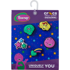 Barney 5 Pack