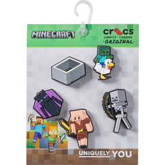 Minecraft 5 Pack